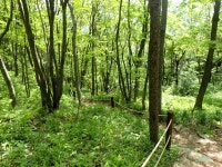 두위봉:신동정상 - ●-100대명산 산행기+사진실 - 자유인산악회(☎02-834-1777) 두위봉:신동정상