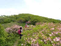 두위봉:사북정상 - ●-100대명산 산행기+사진실 - 자유인산악회(☎02-834-1777) 두위봉:사북정상