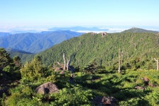 6월 지리산(거림~세석~장터목~천왕봉~중산리) - 이런저런사진 - 양지산행여행 043-216-8586 6월 지리산(거림~세석~장터목~천왕봉~중산리)