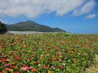 서해랑길 11코스 - 양지산행사진 - 양지산행여행 043-216-8586 서해랑길 11코스