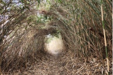 [일요산행] 11월30일 서해랑길47코스 - 당일산행(토,일,수,공휴일) - 양지산행여행 043-216-8586 [일요산행] 11월30일 서해랑길47코스