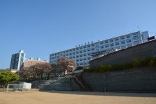 2025년 강북고등학교 체육 한마당 사진 동영상 - ♂.....추억의♡앨범 !! - 강북고등학교 총동창회 2025년 강북고등학교 체육 한마당 사진 동영상