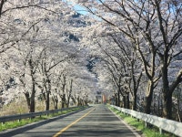 [영알]1일2산 고헌산 & 가지산(26.04.08) - ♣...자유산행/앨범♧ - 산어귀산악회 산어귀산악회