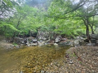 25.06.24(火) 내연산 - ♣...자유산행/앨범♧ - 산어귀산악회 산어귀산악회