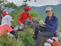 (2025/7/10 목요일)상양마을회관-아랫재-가지산북서릉-북봉-가지산-용수골-호박소-호박소주차장 - ♣...자유산행/앨범♧ - 산어귀산악회... 