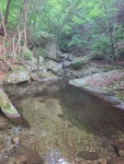 (2026.6.1 월요일) 우전마을사방댐-피바위-남봉-황석산-북봉-거망산-은신처-노상골-노상마을회관(2) - ♣...자유산행/앨범♧ - 산어귀산악회... 