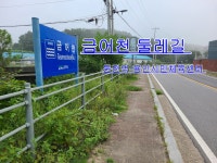 금어천 산책길(둔전역-용인시민체육센터) - 둘레길 GPS Track - GPS 월드 금어천 산책길(둔전역-용인시민체육센터)