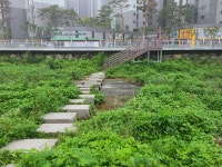 금어천 산책길(둔전역-용인시민체육센터) - 둘레길 GPS Track - GPS 월드 금어천 산책길(둔전역-용인시민체육센터)