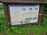 영문천(경안천) 둘레길(둔전역-마성2리) - 둘레길 GPS Track - GPS 월드 영문천(경안천) 둘레길(둔전역-마성2리)