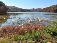 경기둘레길 40-2금광저수지 ,41-1대둔저수지-대동정류장(다리골) - 둘레길 GPS Track - GPS 월드 경기둘레길 40-2금광저수지 ,41... 