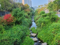 성복천(성서천) 산책길03(버들치마을 사거리-장수촌 왕복 - 둘레길... GPS 월드 성복천(성서천) 산책길03(버들치마을 사거리-장수촌 왕복