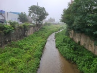 금어천 산책길(둔전역-용인시민체육센터) - 둘레길 GPS Track - GPS 월드 금어천 산책길(둔전역-용인시민체육센터)