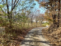 경기둘레길 40-2금광저수지 ,41-1대둔저수지-대동정류장(다리골) - 둘레길 GPS Track - GPS 월드 경기둘레길 40-2금광저수지 ,41... 