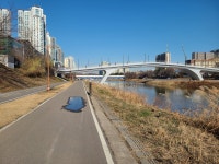 탄천산책길 (성남농수산센터-정자역) - 둘레길 GPS Track - GPS 월드 탄천산책길 (성남농수산센터-정자역)