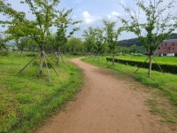 영문천(경안천) 둘레길(둔전역-마성2리) - 둘레길 GPS Track - GPS 월드 영문천(경안천) 둘레길(둔전역-마성2리)