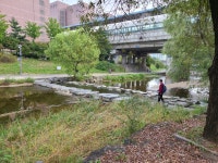 성복천 산책길 01 (냇가공원-탄천 합류점) - 둘레길 GPS Track - GPS 월드 성복천 산책길 01 (냇가공원-탄천 합류점)