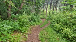 경기두레길 22코스 상천역-청평역 - 둘레길 GPS Track - GPS 월드 경기두레길 22코스 상천역-청평역