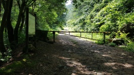 경기둘레길 25-2코스 가평은혜마을-양평 산음자연휴양림 - 둘레길 GPS Track - GPS 월드 경기둘레길 25-2코스 가평은혜마을-양평... 