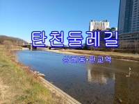 탄천 둘레길 (상현2동삼거리-판교역) - 둘레길 GPS Track - GPS 월드 탄천 둘레길 (상현2동삼거리-판교역)