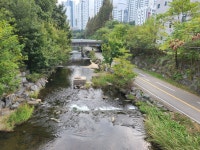 성복천 산책길 01 (냇가공원-탄천 합류점) - 둘레길 GPS Track - GPS 월드 성복천 산책길 01 (냇가공원-탄천 합류점)