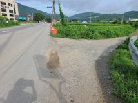 영문천(경안천) 둘레길(둔전역-마성2리) - 둘레길 GPS Track - GPS 월드 영문천(경안천) 둘레길(둔전역-마성2리)