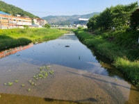 오산천(경안천) 산책길(능원초교사거리-동림교) - 둘레길 GPS Track - GPS 월드 오산천(경안천) 산책길(능원초교사거리-동림교)
