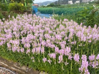 경기둘레길 35코스 한강문화관-도리마을회관 - 둘레길 GPS Track - GPS 월드 경기둘레길 35코스 한강문화관-도리마을회관