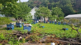 경기둘레길 24-1코스 삼회1리회관-안골 정류장 - 둘레길 GPS Track - GPS 월드 경기둘레길 24-1코스 삼회1리회관-안골 정류장