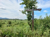 경기둘레길 37코스 현수1리버스정류장-장호원시외버스터미널 - 둘레길 GPS Track - GPS 월드 경기둘레길 37코스 현수1리버스정류장... 