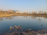 황구지천자전거길 (왕송호수-서수원체육공원) - 둘레길 GPS Track - GPS 월드 황구지천자전거길 (왕송호수-서수원체육공원)