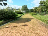 경기둘레길 34코스 신륵사-한강문화관 - 둘레길 GPS Track - GPS 월드 경기둘레길 34코스 신륵사-한강문화관