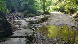 경기둘레길 24-1코스 삼회1리회관-안골 정류장 - 둘레길 GPS Track - GPS 월드 경기둘레길 24-1코스 삼회1리회관-안골 정류장