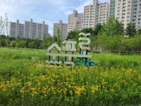 영문천(경안천) 둘레길(둔전역-마성2리) - 둘레길 GPS Track - GPS 월드 영문천(경안천) 둘레길(둔전역-마성2리)