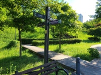 신대호수 둘래길(아이파크5단지-서봉숲속공원) - 둘레길 GPS Track - GPS 월드 신대호수 둘래길(아이파크5단지-서봉숲속공원)