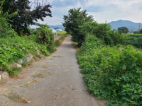 노곡천 둘레길01 추곡리종점-도척면센터 - 둘레길 GPS Track - GPS 월드 노곡천 둘레길01 추곡리종점-도척면센터