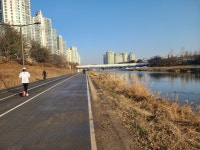 탄천산책길 정자역2번출구-야탑역3번출구 - 둘레길 GPS Track - GPS 월드 탄천산책길 정자역2번출구-야탑역3번출구