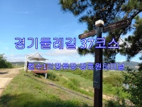 경기둘레길 37코스 현수1리버스정류장-장호원시외버스터미널 - 둘레길 GPS Track - GPS 월드 경기둘레길 37코스 현수1리버스정류장... 