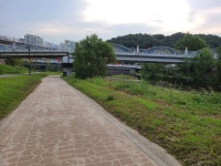 성복천 산책길 01 (냇가공원-탄천 합류점) - 둘레길 GPS Track - GPS 월드 성복천 산책길 01 (냇가공원-탄천 합류점)