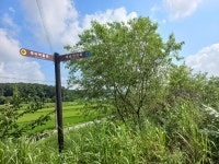 경기둘레길 33코스 강천면사무소-신륵사 (역주행) - 둘레길 GPS Track - GPS 월드 경기둘레길 33코스 강천면사무소-신륵사 (역주행)