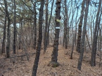 한남정맥 용인지역01 풍산(아)삼거리-새천년 신릉초등학교 - 둘레길 GPS Track - GPS 월드 한남정맥 용인지역01 풍산(아)삼거리-새천년... 