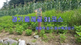 경기둘레길 31코스 양동역 입구-장수폭포 입구 - 둘레길 GPS Track - GPS 월드 경기둘레길 31코스 양동역 입구-장수폭포 입구