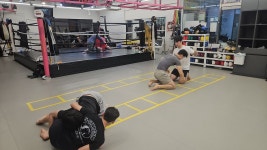 동탄종합격투기/오스타짐/5-STAR GYM/열정 기본 MMA 패턴 - [5-star... 동탄MMA/동탄투혼/동탄종합격투기/오스타짐/5-STAR GYM/열정 기본 MMA 패턴