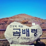 [152차 정기산행 겸 기획산행] 곰배령외 삼척트래킹 2023년6월17일... 정기산행 겸 기획산행] 곰배령외 삼척트래킹 2023년6월17일~18일(1박2일)
