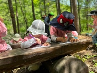 가리산유아숲체험원 다녀왔습니다!! - 나비난초반 - 이루숲어린이집 가리산유아숲체험원 다녀왔습니다!!