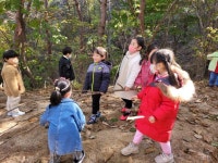 숲 산책 - 별수선반 - 이루숲어린이집 숲 산책