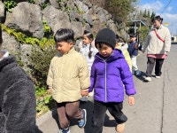 친구와 함께 산책해요 ☀️ - 창조반 친구들 - 보목어린이집 친구와 함께 산책해요 ☀️