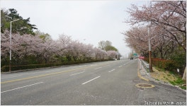 Re: 부산광역 환라이딩 - 라이딩 - 자연이 있어예~ Re: 부산광역 환라이딩