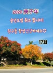 2020庚子年 송년모임 취소 - ★ 자유게시판☆___ - 삼생초교 17회 2020庚子年 송년모임 취소