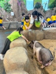 초정 쥬니멀 동물원🐰🐷🪿🐹 - 사랑가득친구들 - 꿈돌이예능어린이집 초정 쥬니멀 동물원🐰🐷🪿🐹