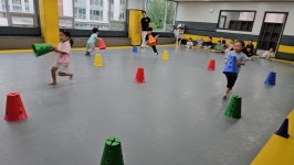 체육(태권무ㆍ부채로 종이 비행기 날리기ㆍ무궁화 꽃이 피었습니다) - 슬기롭고지혜로운친구들 - 꿈돌이예능어린이집 체육(태권무ㆍ부채로 종이... 